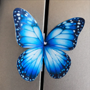 Cartão Divulgação Criativa para carro - Borboleta - *Personalizado*