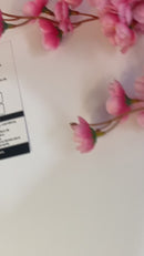 Kit Tag Economica e Certificado